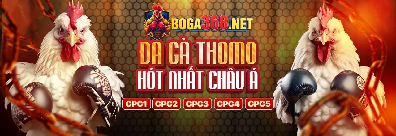 Banner ưu đãi đá gà trực tiếp 2026