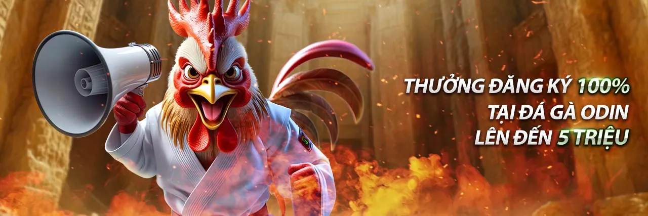 Hình ảnh chính của trang chủ đá gà trực tiếp, với đấu trường và gà chiến